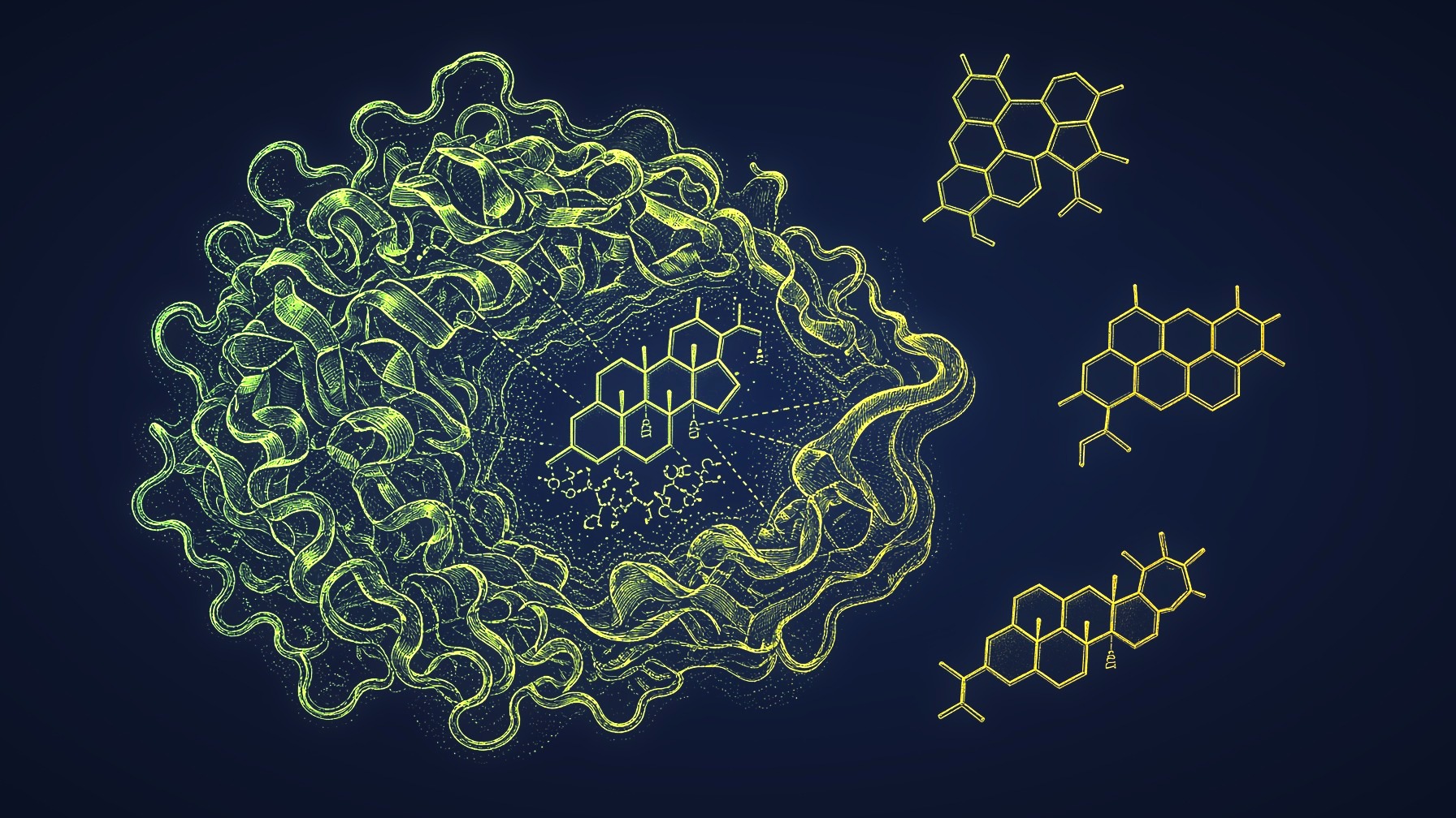 Gold engraving of aromatase holding a steroid beside three inhibitor molecules