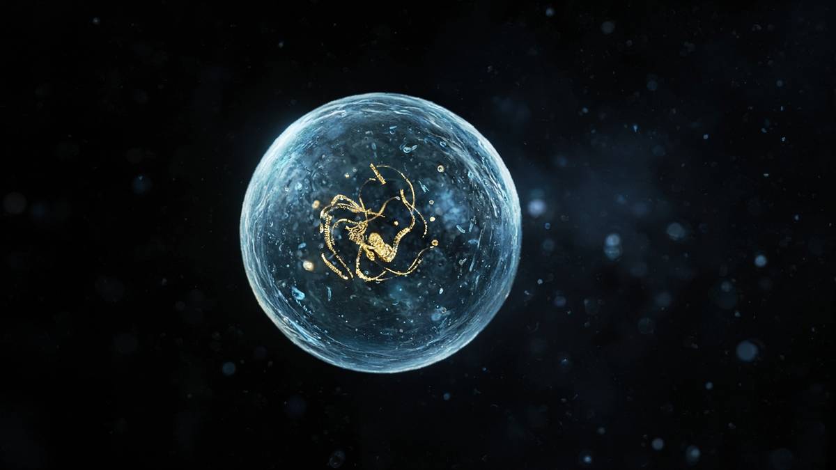 A single cell with a sparse, designed genome — the visual stand-in for JCVI-syn3.0