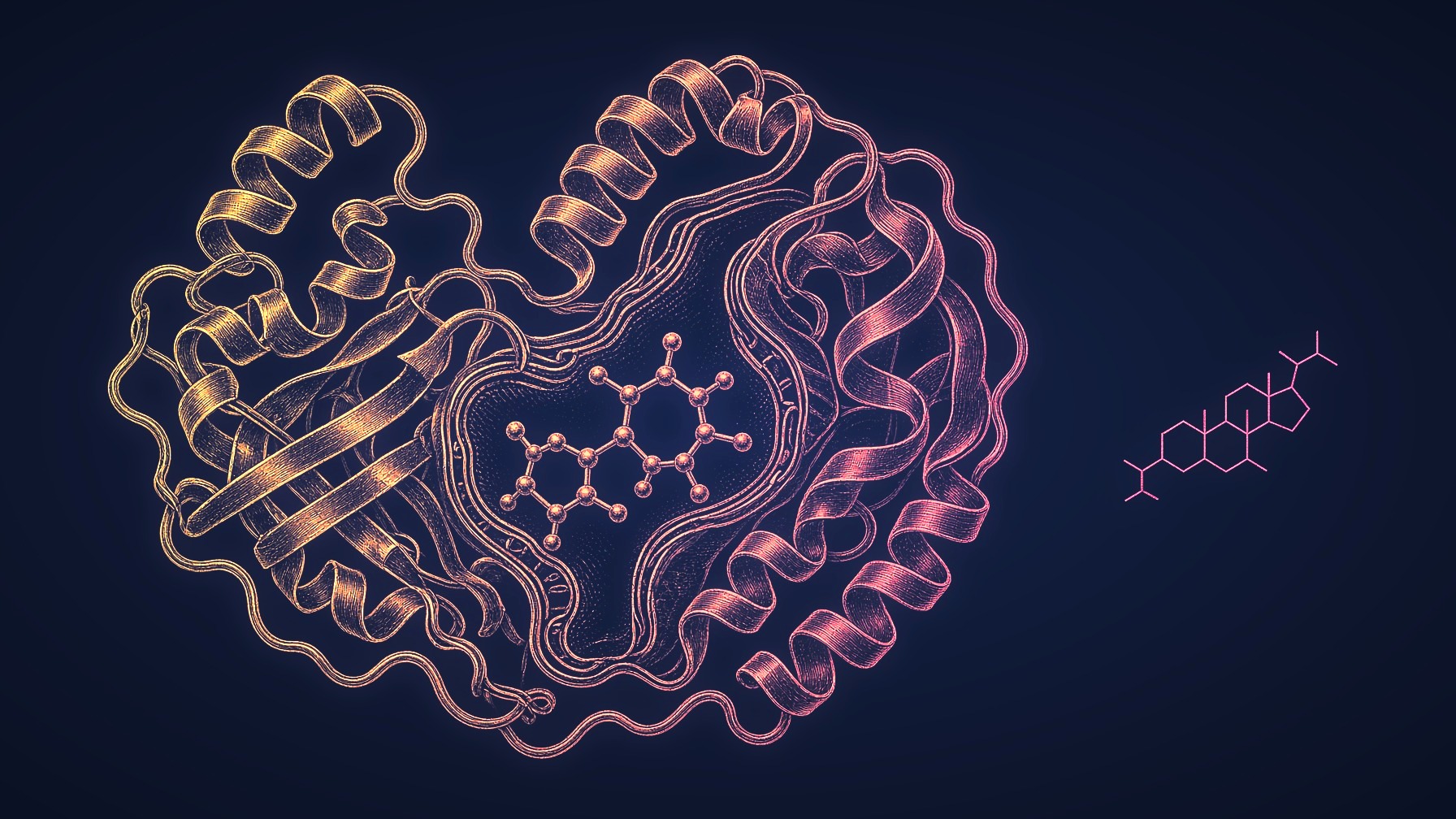 Gold engraving of a nonsteroidal ligand in the androgen receptor cleft